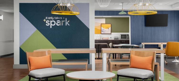 坦帕布兰登希尔顿Spark酒店(Spark by Hilton Tampa Brandon)图片
