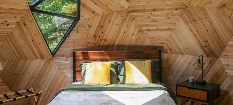 Amanita Dome. All-Inclusive Food and Drinks.图片