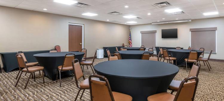 北奥卡拉舒适套房酒店(Comfort Suites Ocala North)图片