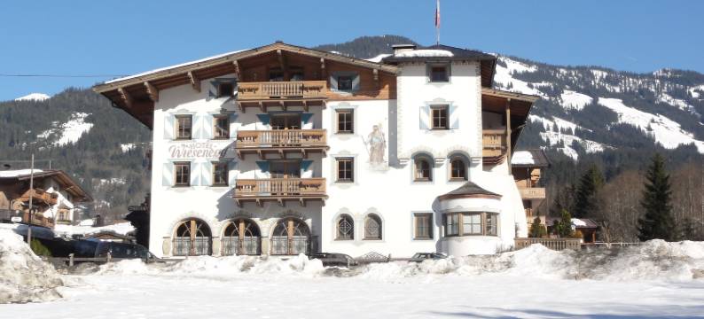 威尔森伊戈酒店(Hotel Wiesenegg)图片