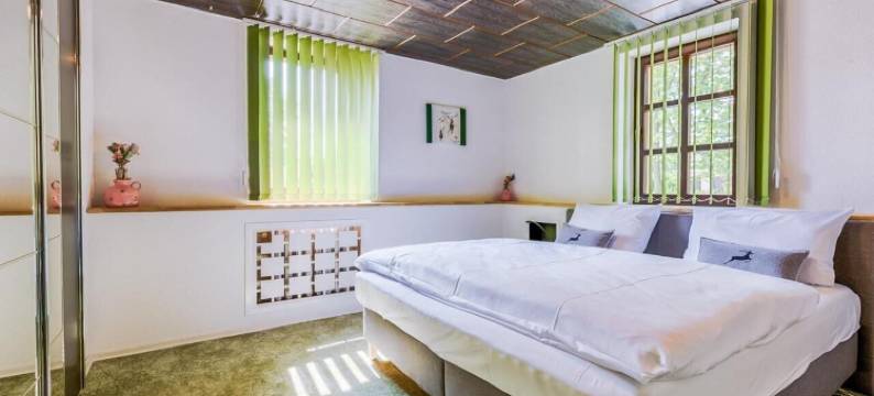 茨韦尼茨酿酒厂酒店(Brauerei Zwönitz)图片