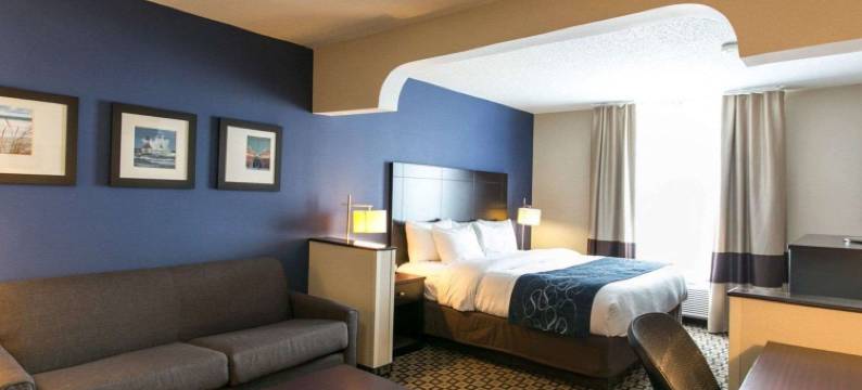 舒适套房酒店-本顿港-圣约瑟(Comfort Suites Benton Harbor - St. Joseph)图片
