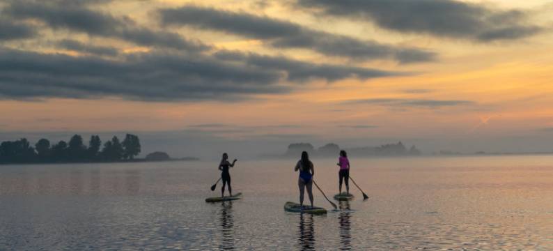 Swarm - 弗里斯兰的3个连在一起的水舍(Swarm - 3 Waterlodges Naast Elkaar in Friesland)图片