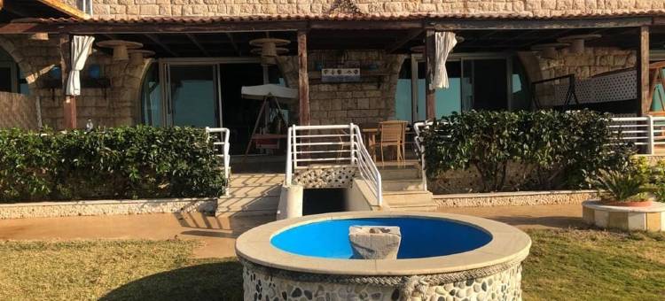 蓝色白色(Le Blanc Bleu)图片