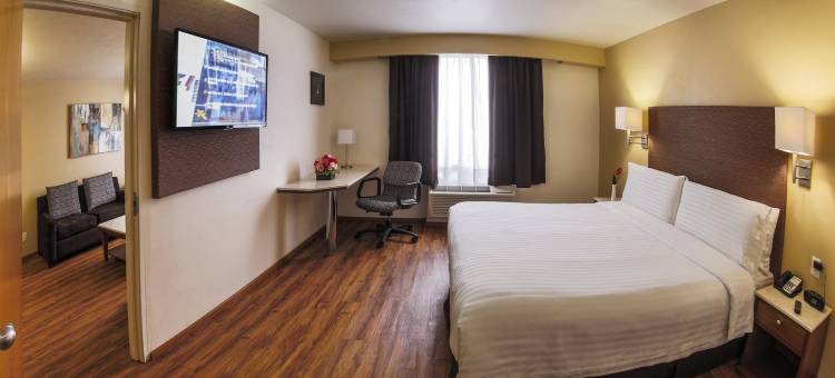 奥里扎巴假日酒店(Holiday Inn Orizaba)图片