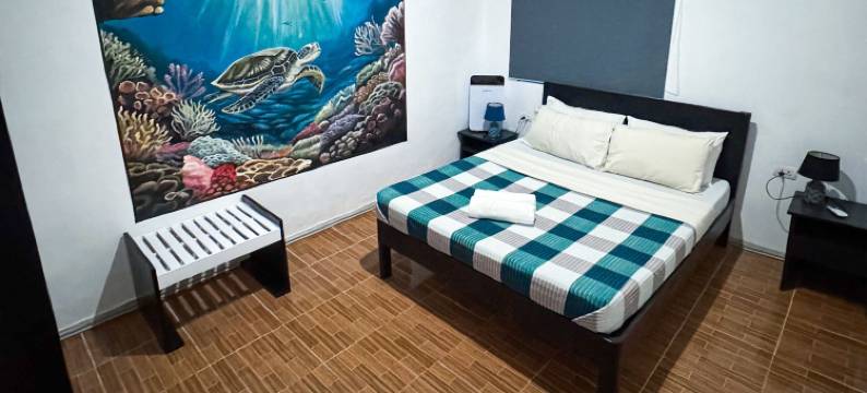 疯狂熊青年旅馆(Crazy Bears Hostel)图片