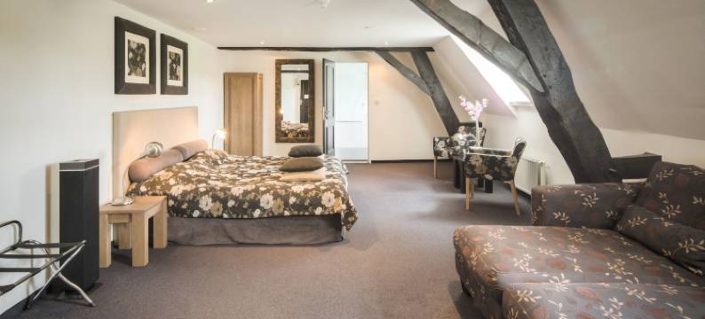 德纳瑞德卡斯迪尔酒店(Hotel Kasteel Doenrade)图片