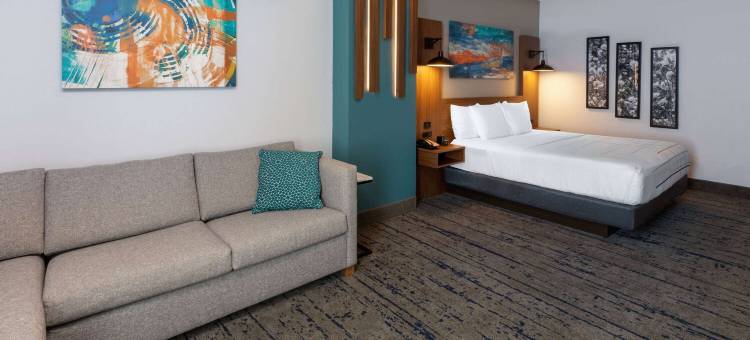 达拉斯拉昆塔温德姆酒店套房-弗赖拉辛体育场(La Quinta Inn & Suites by Wyndham Dallas - Frisco Stadium)图片