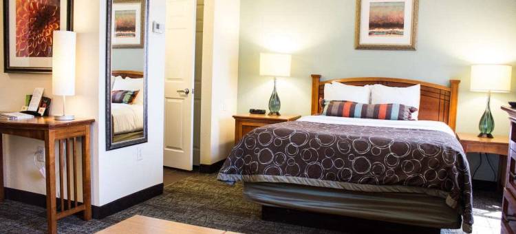 Staybridge Suites 达拉斯 - LAS科利纳斯区 by IHG(Staybridge Suites Irving Las Colinas by IHG)图片