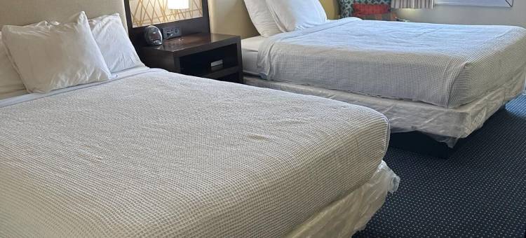 白宫酒店(The White House Inn)图片