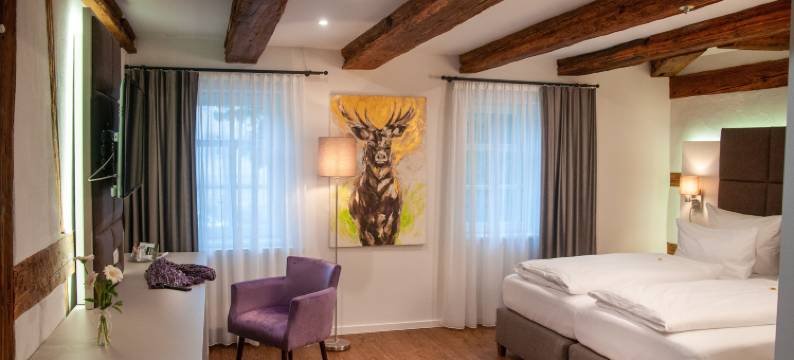 舒博思施洛斯酒店(Hotel Schuberths am Schloss)图片