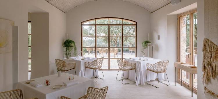 阿尔塔·埃斯拉科酒店-健康静修(Es Racó d'Artà Hotel - Wellbeing Retreat)图片