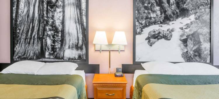 格兰茨帕斯温德姆速8酒店(Super 8 by Wyndham Grants Pass)图片