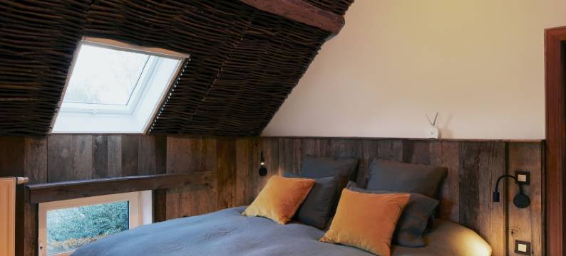 查理132(Charly 132)图片