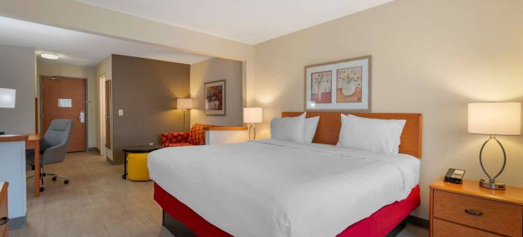 曾斯维尔市中心的舒适套房酒店(Comfort Inn & Suites Zanesville City Center)图片