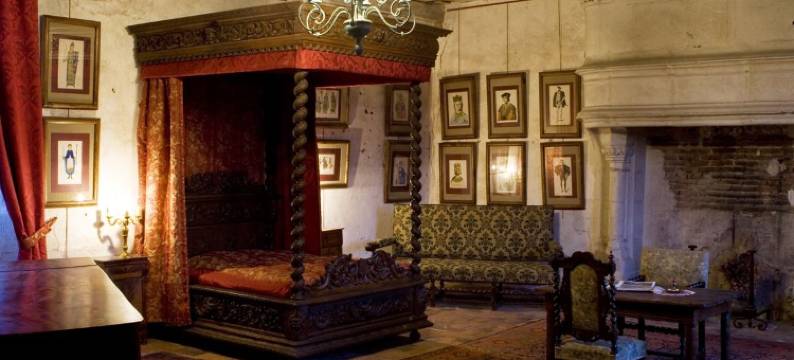 切梅里城堡民宿(Chambres d'hôtes - Chateau de Chemery)图片