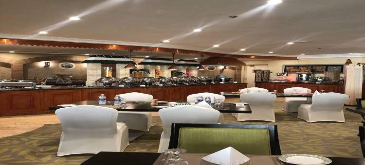 Holiday Inn 阿尔科巴尔(Holiday Inn Al Khobar)图片