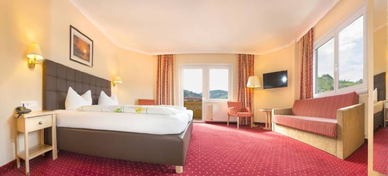 施内贝格酒店(Hotel Schneeberger)图片