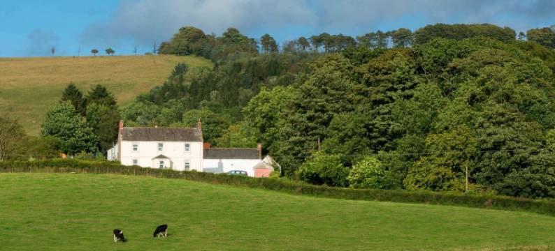 比夏克鲁格旅馆(Bishopcleugh Guest House)图片