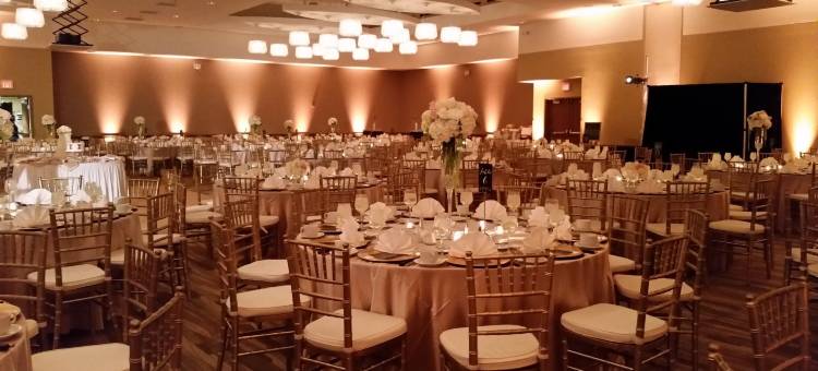 I酒店及会议中心 - 尚佩恩(I Hotel and Illinois Conference Center - Champaign)图片