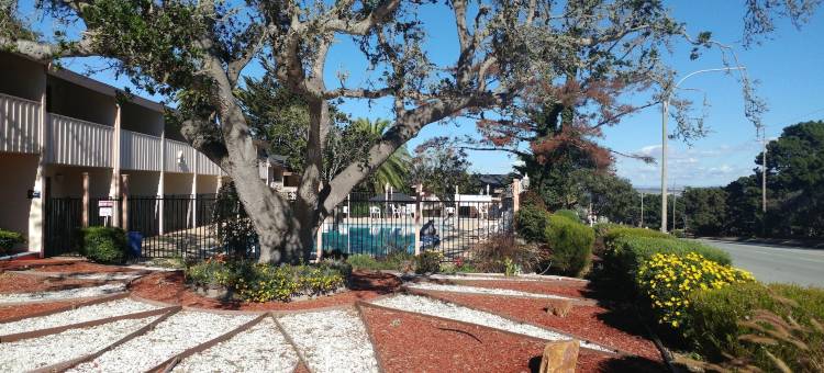 姆拉斯美洲最佳价值总统酒店(Americas Best Value Presidents Inn on Munras)图片