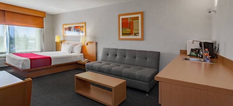 塞拉亚公园城市快捷酒店(City Express by Marriott Celaya Parque)图片