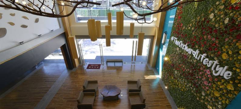 碧瑶果园酒店(The Orchard Hotel Baguio)图片