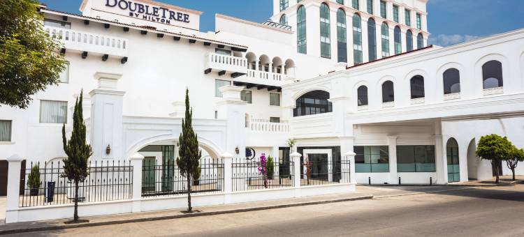 托卢卡希尔顿逸林酒店(DoubleTree by Hilton Toluca)图片
