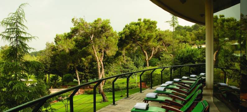 卡梅尔森林 - 伊斯罗泰尊爵酒店(Carmel Forest by Isrotel Exclusive)图片