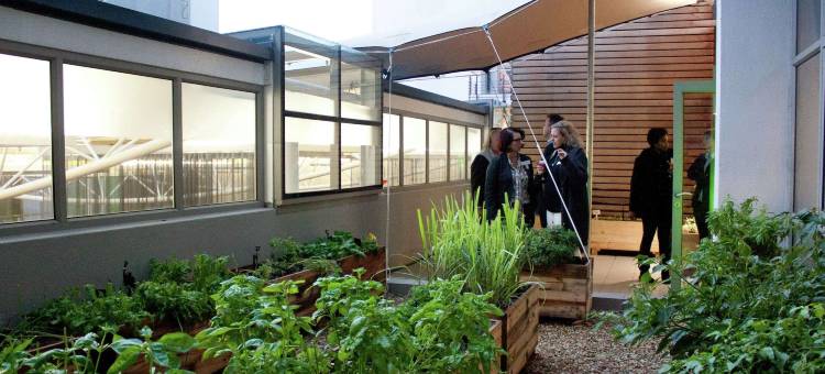 开普敦上东区希尔顿逸林酒店(DoubleTree by Hilton Cape Town - Upper Eastside)图片