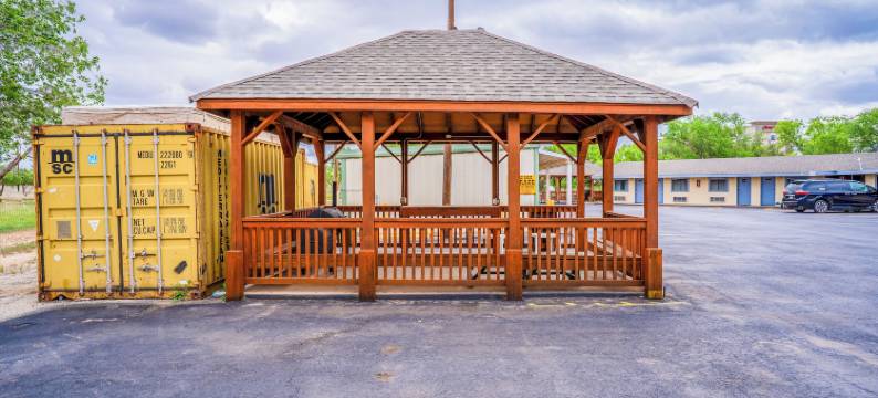 OYO Snyder TX 紫色鼠尾草(Purple Sage by OYO Snyder TX)图片