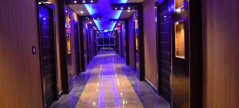 海豚宫酒店(Dolphin Chocolate Inn)图片