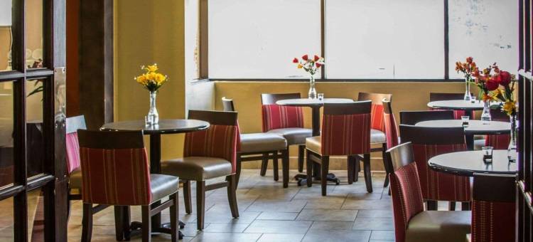 凯艺套房酒店(Quality Inn & Suites)图片