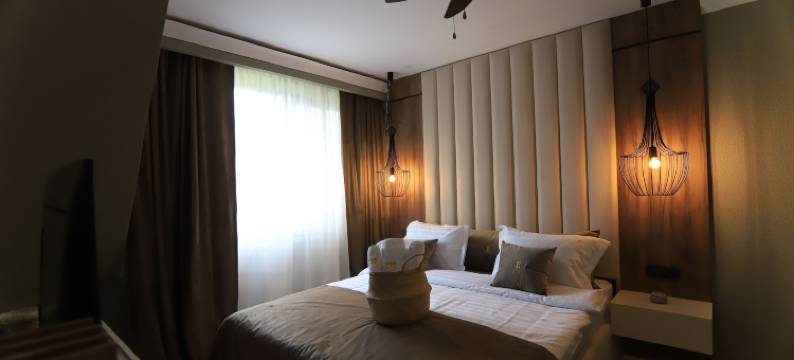 普雷代亚尔埃莱克萨斯精品酒店(Elexus Boutique)图片