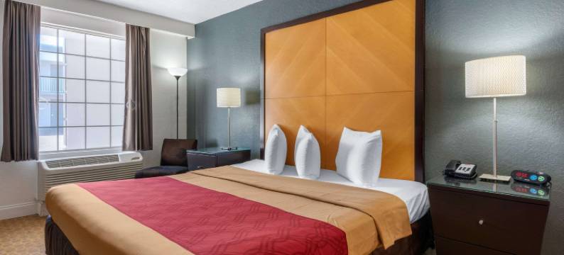 机场-坦帕RJ体育馆伊克诺旅馆(Econo Lodge Airport - RJ Stadium)图片