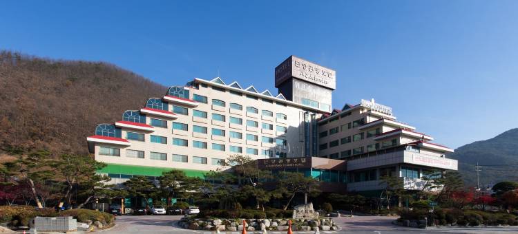 雪绒花丹阳观光酒店(Danyang Tourist Hotel Edelweiss)图片