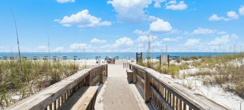 罗马海滩203号(Romar Beach 203)图片