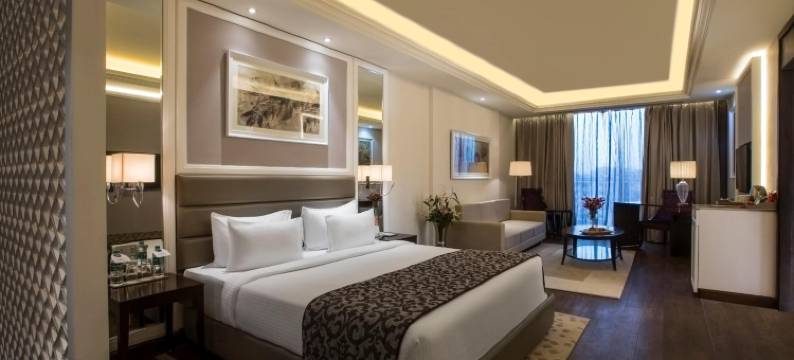 赖布尔辛哈尼亚萨罗瓦门廊酒店(Singhania Sarovar Portico)图片