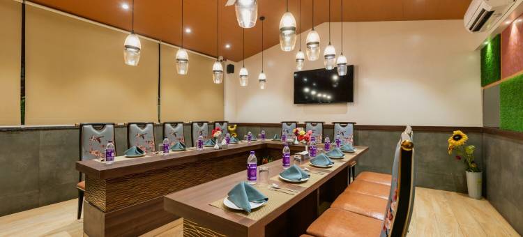 维贾布尔城市宫殿酒店(Hotel Town Palace)图片