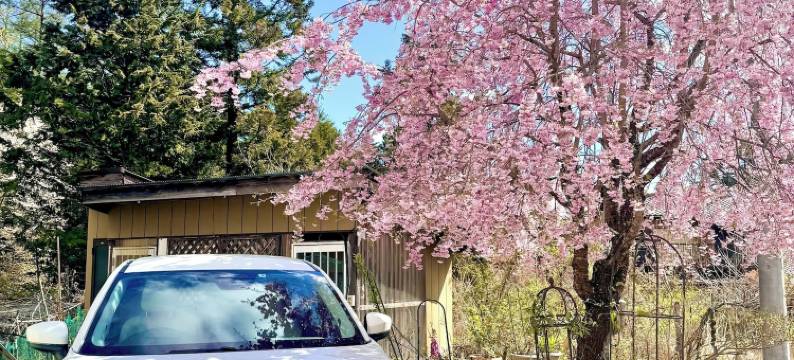 客栈 圭堂-Seidou-(Guset House Seidou)图片