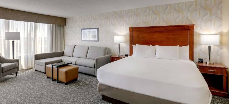 马里恩德鲁里酒店及套房(Drury Inn & Suites Marion)图片