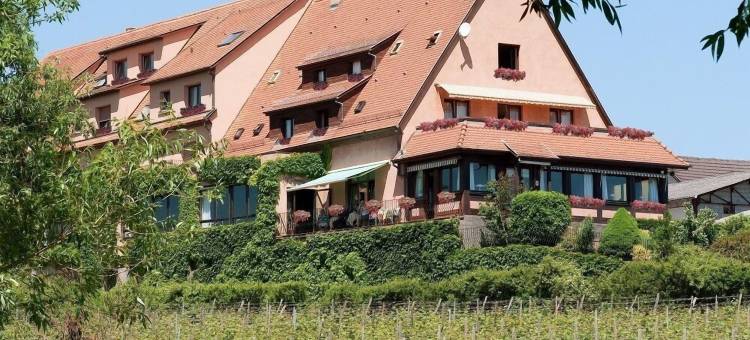 奥莱斯林酒店餐厅(Hotel Restaurant Au Riesling)图片