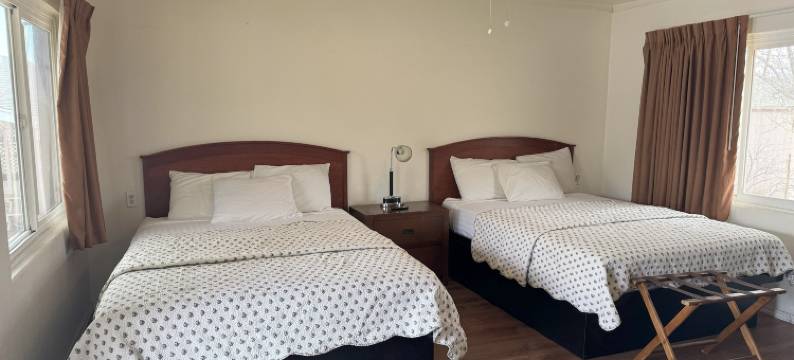 湖滨汽车旅馆(Lakeshore Lodge)图片