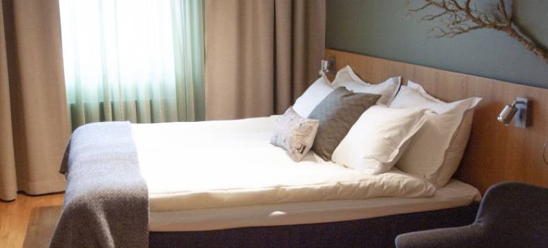 博里霍尔姆酒店(Hotell Borgholm)图片