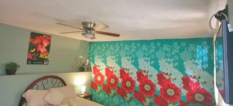 草地兔子青年旅舍(Hierba de Conejo Hostel)图片