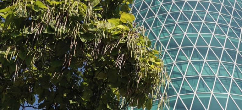 宜必思法兰克福中心酒店(Ibis Frankfurt Centrum)图片