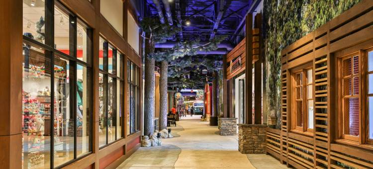 亚特兰大拉格兰奇大狼小屋(Great Wolf Lodge Atlanta / LaGrange, GA)图片