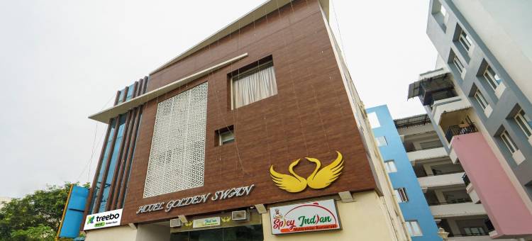 Treebo 金天鹅坦巴拉姆(Treebo Golden Swan Tambaram)图片