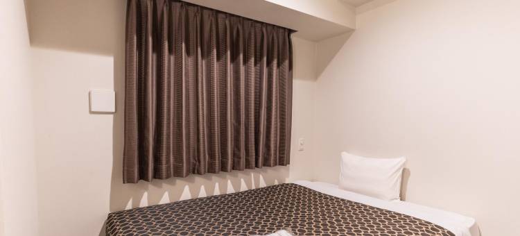 京都站八条口卓越酒店(Hotel Excellence Kyoto Station Hachijo)图片