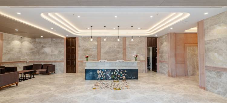 萨罗瓦尔波蒂科 阿杰梅尔(Sarovar Portico Ajmer)图片